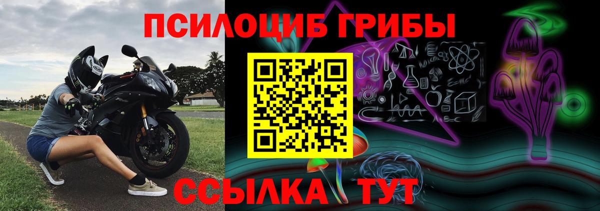 где можно купить   Галлюциногенные грибы Psilocybine cubensis  Вход с VPN  Узловая 